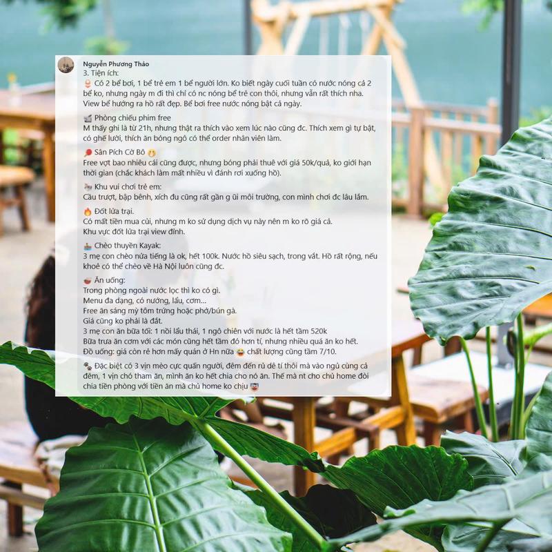 Review khách hàng Vayang